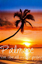 Cover: Palmsee