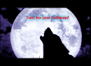 Cover: Tanz bis zum Vollmond