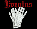 Cover: EVENTUS - Das Schicksal