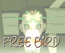 Cover: free bird