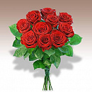 Cover: Zehn rote Rose