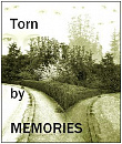 Cover: Torn by Memories