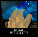 Cover: Mein Minecraft Tagebuch