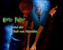 Cover: Harry Potter und der Stab von Myrddin