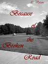 Cover: Because of the Broken Road