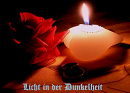 Cover: Licht in der Dunkelheit