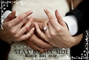 Cover: Stay By My Side