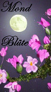Cover: Mondblüte