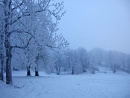 Cover: Gespräch im Schnee