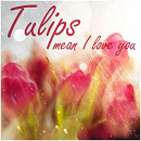 Cover: Tulips