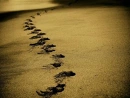 Cover: Spuren im Sand