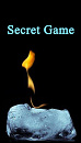 Cover: Secret Game