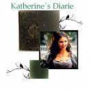 Cover: The Vampire Diaries