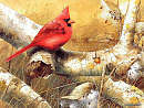Cover: Der Gesang eines Vogels