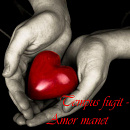 Cover: Tempus fugit - Amor manet