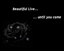 Cover: beautiful Live...