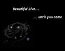 Cover: beautiful Live...