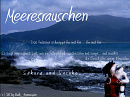 Cover: Meeresrauschen