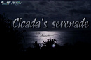 Cover: Cicada's serenade