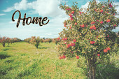 Cover von: Home.