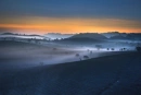 Cover: Geisternebel