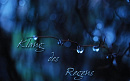 Cover: Klang des Regens