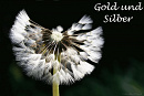 Cover: Gold und Silber