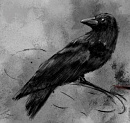 Cover: Der schwarze Vogel
