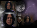 Cover: Familie Snape
