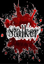Cover: Stalker