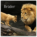 Cover: Brüder