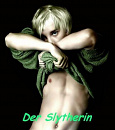Cover: Der Slytherin