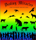 Cover: Destiny Miracles