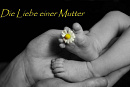 Cover: Die Liebe einer Mutter