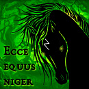 Cover: Ecce equus niger