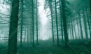 Cover: Fern der Heimat