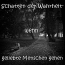 Cover: Schatten der Wahrheit