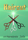 Cover: Haircut