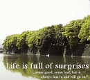 Cover: Life is full of surprises