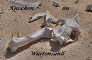 Cover: Knochen im Wüstensand