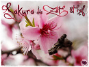 Cover: Sakura - Die Zeit ist reif