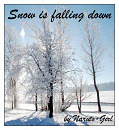 Cover: Snow is falling down