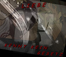 Cover: Liebe kennt kein Gesetz