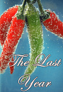 Cover: The last year