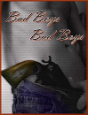 Cover: Bad Boys, Bad Boys