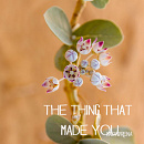 Cover: the thing that made you