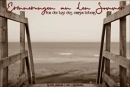 Cover: Erinnerungen an den Sommer