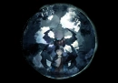 Cover: The Dark Void