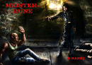 Cover: Meister-Rune