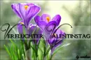 Cover: Verfluchter Valentinstag